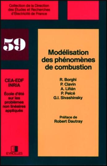 Couverture du livre « Modélisation des phénomènes de combustion » de Borghi R. aux éditions Edf