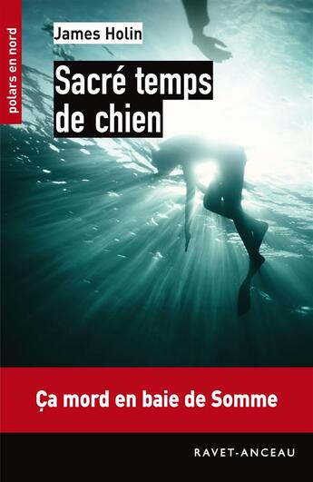 Couverture du livre « Sacré temps de chien » de James Holin aux éditions Ravet-anceau