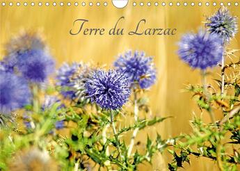 Couverture du livre « Terre du Larzac (Calendrier mural 2020 DIN A4 horizontal) ; Paysages du Larzac (Calendrier mensuel, 14 Pages ) » de Patrice Thebault aux éditions Calvendo