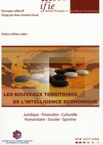 Couverture du livre « Les nouveaux territoires de l'intelligence économique » de A Vaugrenard aux éditions Ifie