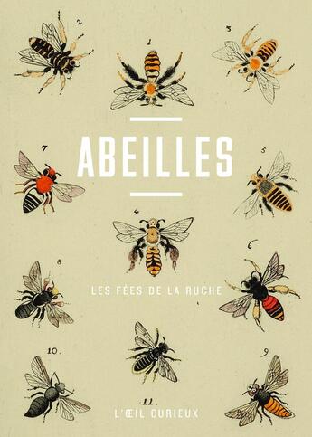 Couverture du livre « Abeilles » de Yveline Baratta aux éditions Bnf Editions