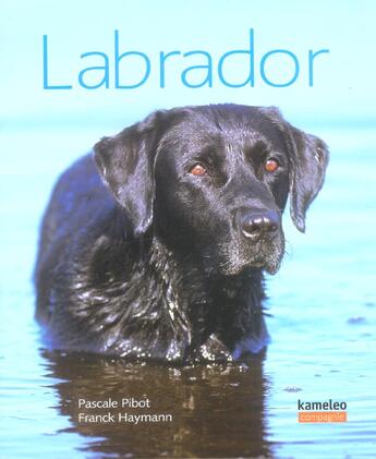 Couverture du livre « Labrador » de Pibot Pascale aux éditions Kameleo