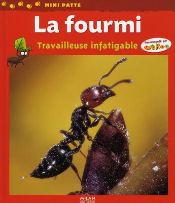 Couverture du livre « La fourmi ; travailleuse infatigable » de Remy Amann aux éditions Milan