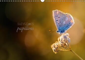 Couverture du livre « Suivez les papillons calendrier mural 2018 din a3 horizontal - calendrier photo sur le theme » de Gans C aux éditions Calvendo