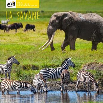 Couverture du livre « La savane » de Christina Dorner aux éditions Acces