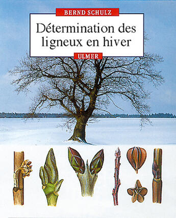 Couverture du livre « Détermination des ligneux en hiver » de Bernd Schulz aux éditions Eugen Ulmer