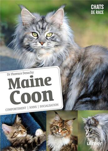 Couverture du livre « Maine Coon ; comportements, soins, socialisation » de Florence Desachy aux éditions Eugen Ulmer