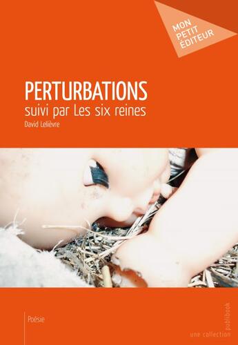 Couverture du livre « Perturbations » de David Lelièvre aux éditions Publibook