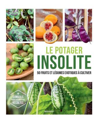 Couverture du livre « Le potager insolite » de Biggs Matthew aux éditions Marabout