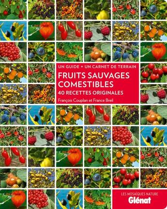 Couverture du livre « Fruits sauvages comestibles ; 40 recettes originales » de Francois Couplan et France Breil aux éditions Glenat
