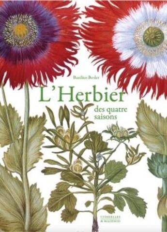 Couverture du livre « L'herbier des quatre saisons » de Basilius Besler aux éditions Citadelles & Mazenod