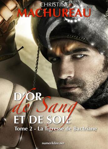 Couverture du livre « D'or, de sang et de soie t.2 ; la tigresse de Bactriane » de Christine Machureau aux éditions Numeriklivres