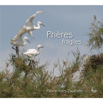 Couverture du livre « Prières fragiles » de Pierre-Yves Zwahlen aux éditions Llb Suisse