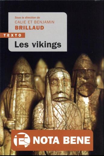 Couverture du livre « Les vikings » de Benjamin Brillaud et Collectif Petit Fute et Calie Brillaud aux éditions Tallandier