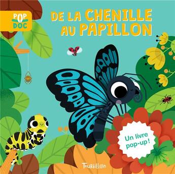 Couverture du livre « De la chenille au papillon » de Sophie Dussaussois et Marta Sorte aux éditions Tourbillon