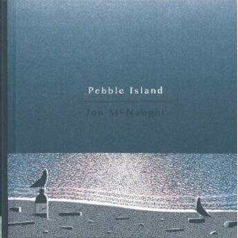 Couverture du livre « Pebble island » de Jon Mcnaught aux éditions Nobrow
