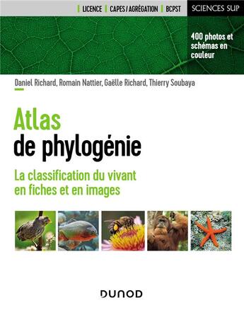 Couverture du livre « Atlas de phylogénie : la classification du vivant en fiches et en images » de Daniel Richard et Thierry Soubaya et Romain Nattier et Gaelle Richard aux éditions Dunod