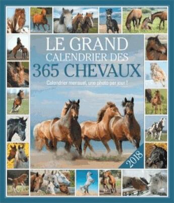 Couverture du livre « Le grand calendrier des 365 chevaux 2018 » de  aux éditions Editions 365