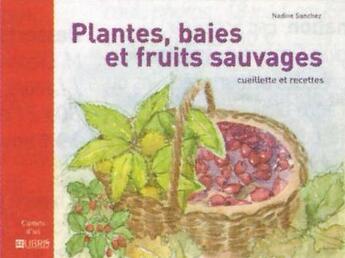 Couverture du livre « Plantes, baies et fruits sauvages ; cueillette et recettes » de Nadine Sanchez aux éditions Glenat