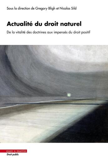 Couverture du livre « Actualité du droit naturel : De la vitalité des doctrines aux impensés du droit positif » de Nicolas Sild et Gregory Bligh et Collectif aux éditions Mare & Martin