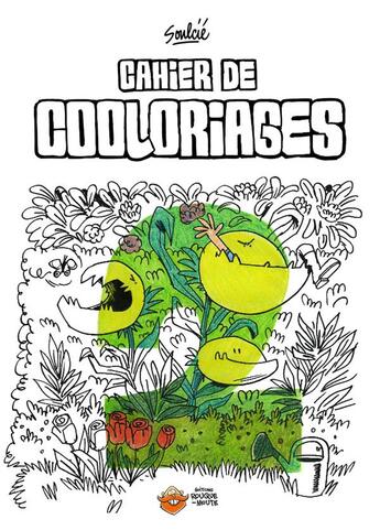 Couverture du livre « Cahier de cooloriages t.2 » de Thibault Soulcie aux éditions Rouquemoute