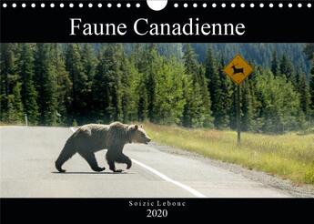 Couverture du livre « Faune canadienne calendrier mural 2020 din a4 horizontal - a la rencontre de la faune oue » de Lebouc Soizic aux éditions Calvendo