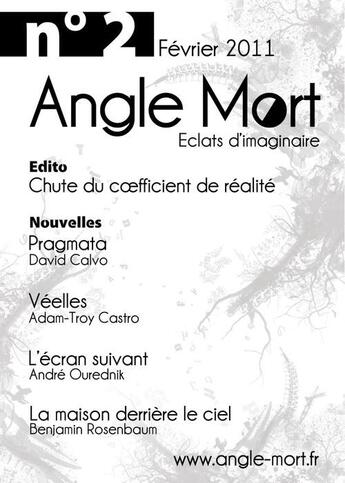 Couverture du livre « Revue Angle Mort T.2 » de Revue Angle Mort aux éditions Angle Mort