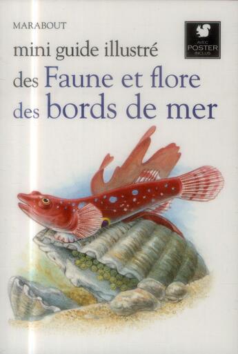 Couverture du livre « Mini guide illustré des faune et flore des bords de mer » de  aux éditions Marabout