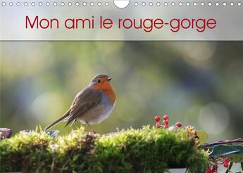 Couverture du livre « Mon ami le rouge gorge calendrier mural 2020 din a4 horizontal - une annee de la vie du rouge g » de Brosseau Matoss aux éditions Calvendo