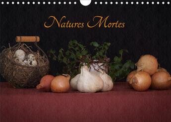 Couverture du livre « Natures mortes calendrier mural 2020 din a4 horizontal - photographies d elements intem » de Brimboeuf Amate aux éditions Calvendo