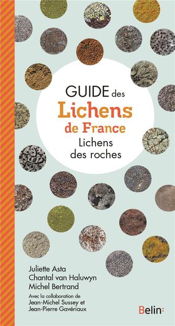 Couverture du livre « Guide des lichens de France : lichens des roches » de Michel Bertrand et Chantal Van Haluwyn et Juliette Asta et Jean-Pierre Gaveriaux et Jean-Michel Sussey aux éditions Belin