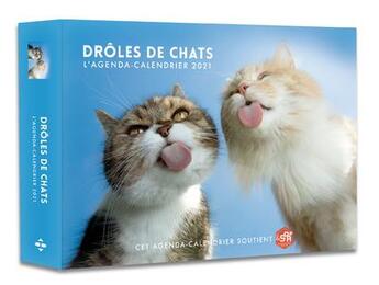 Couverture du livre « L'agenda-calendrier ; drôles de chats (édition 2021) » de  aux éditions Hugo Image