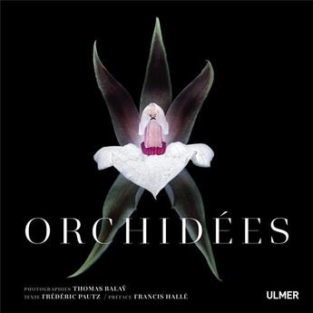 Couverture du livre « Orchidées » de Francis Halle et Thomas Balay et Frederic Pautz aux éditions Eugen Ulmer