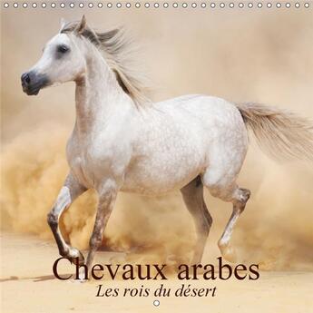 Couverture du livre « Chevaux arabes les rois du desert calendrier mural 2018 300 - des creatures legendaires cale » de Stanzer E aux éditions Calvendo