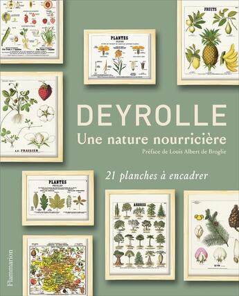 Couverture du livre « Deyrolle ; une nature nourriciere » de Emmanuelle Polle aux éditions Flammarion