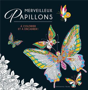 Couverture du livre « Merveilleux papillons ; à colorier et à encadrer ! » de  aux éditions Dessain Et Tolra