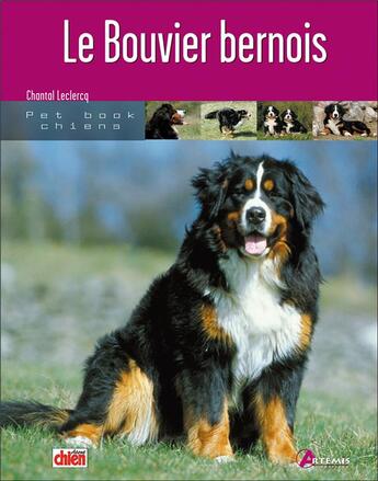 Couverture du livre « Le bouvier bernois » de  aux éditions Artemis