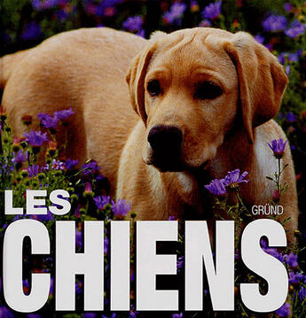 Couverture du livre « Les chiens » de Vito Buono aux éditions Grund