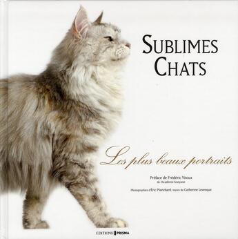 Couverture du livre « Sublimes chats » de Catherine Levesque aux éditions Prisma