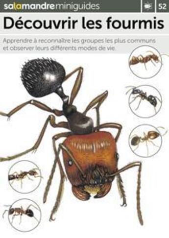 Couverture du livre « Découvrir les fourmis » de  aux éditions Salamandre