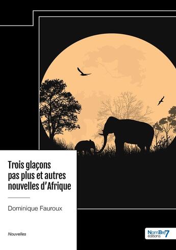 Couverture du livre « Trois glaçons pas plus et autres nouvelles d'Afrique » de Dominique Fauroux aux éditions Nombre 7