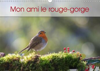 Couverture du livre « Mon ami le rouge gorge calendrier mural 2020 din a3 horizontal - une annee de la vie du rouge g » de Brosseau Matoss aux éditions Calvendo