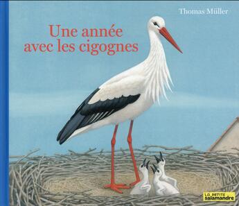 Couverture du livre « Une année avec les cigognes » de Thomas Muller aux éditions Petite Plume De Carotte