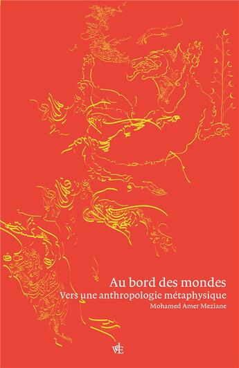 Couverture du livre « Au bord des mondes : vers un tournant métaphysique de l'anthropologie » de Mohamed Amer Meziane aux éditions Vues De L'esprit