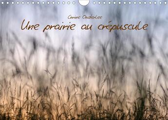 Couverture du livre « Une prairie au crepuscule calendrier mural 2020 din a4 horizontal - beaute des graminees calendrie » de Oosterlee Corin aux éditions Calvendo