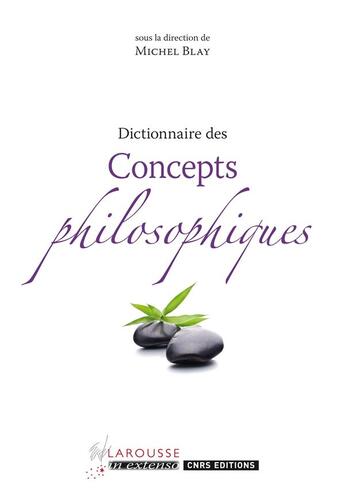 Couverture du livre « Dictionnaire des concepts philosophiques » de Michel Blay aux éditions Larousse