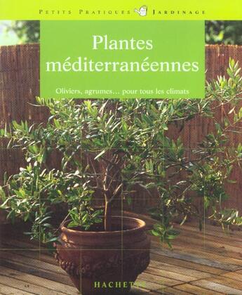 Couverture du livre « Plantes Mediterraneennes. Oliviers, Agrumes... Pour Tous Les Climats » de Patrick Mioulane aux éditions Hachette Pratique