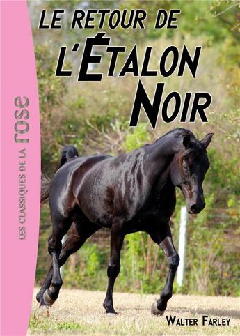 Couverture du livre « L'étalon noir t.2 ; le retour de l'étalon noir » de Walter Farley et Steven Farley aux éditions Hachette Jeunesse