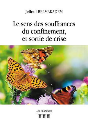 Couverture du livre « Le sens des souffrances du confinement, et sortie de crise » de Jelloul Belmakadem aux éditions Les Trois Colonnes