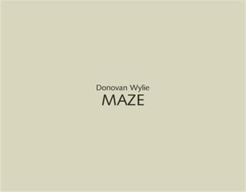 Couverture du livre « Donovan wylie maze » de Donovan Wylie aux éditions Steidl